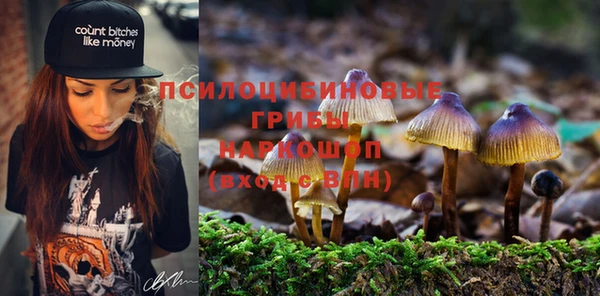 марихуана Гусиноозёрск