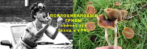 марихуана Гусиноозёрск
